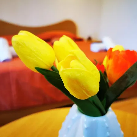Guest house Vila Arcadia